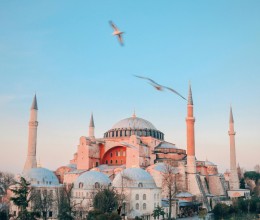 pexels-yunustug-8071159