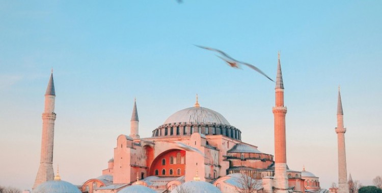 pexels-yunustug-8071159